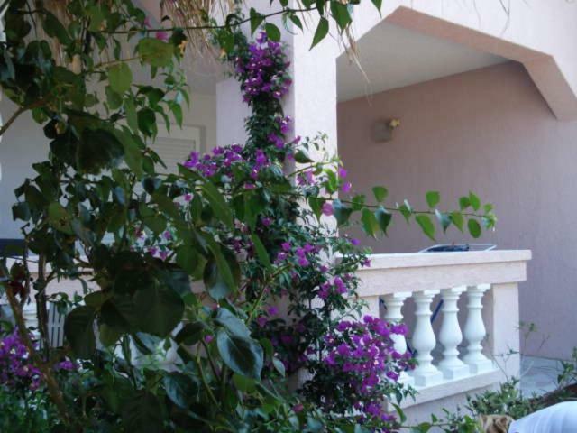 Apartments Mirjana - Stara Novalja Exterior photo